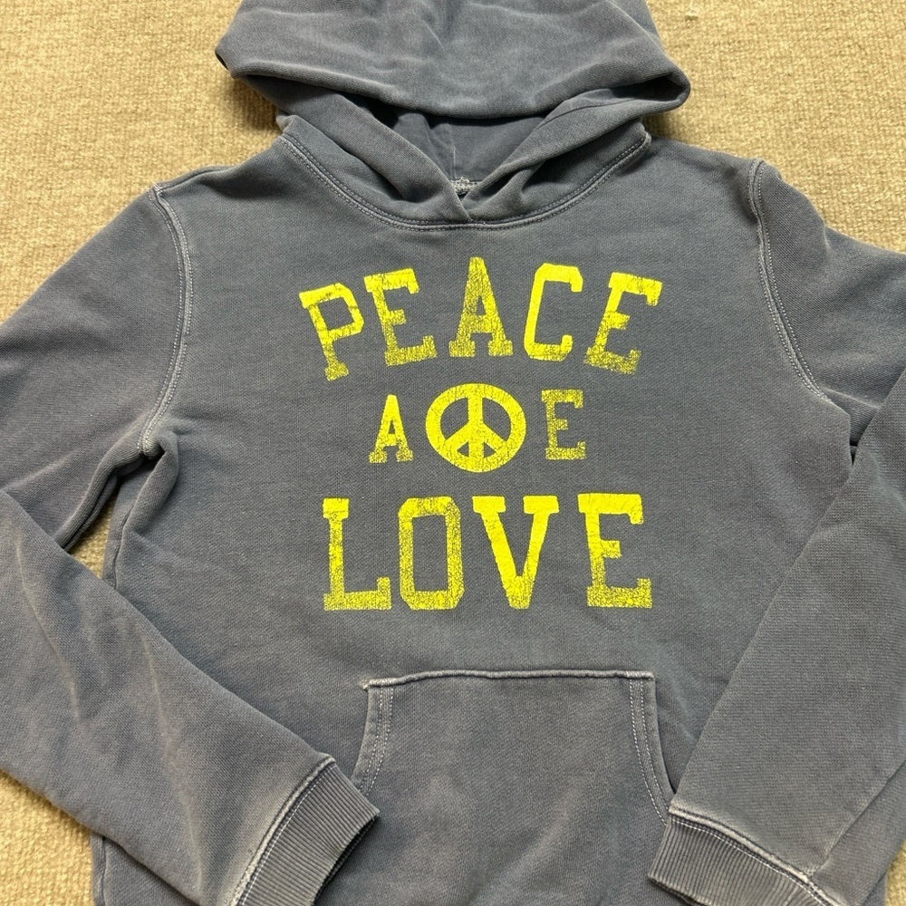 American Eagle Outfitters Gray Hooded Sweatshirt